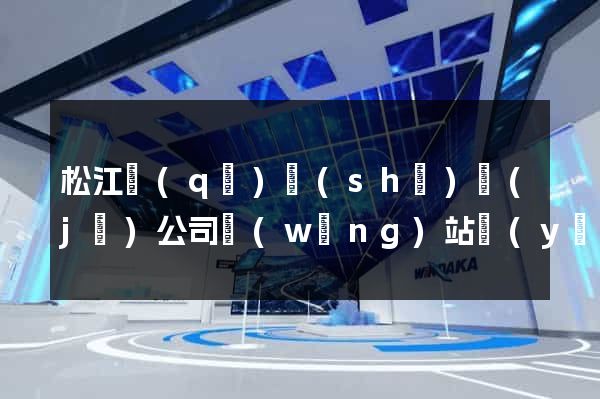 松江區(qū)設(shè)計(jì)公司網(wǎng)站優(yōu)化