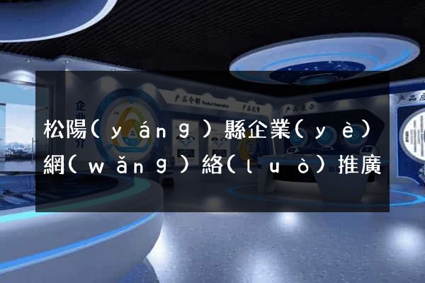 松陽(yáng)縣企業(yè)網(wǎng)絡(luò)推廣