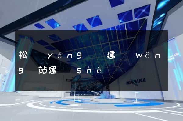 松陽(yáng)縣建網(wǎng)站建設(shè)