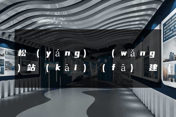 松陽(yáng)縣網(wǎng)站開(kāi)發(fā)與建設(shè)
