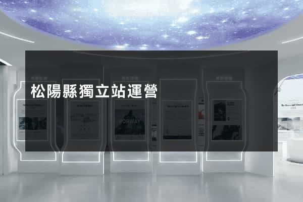 松陽縣獨立站運營