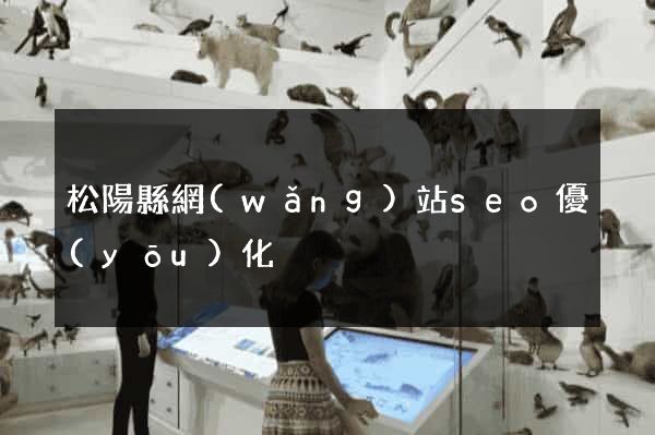 松陽縣網(wǎng)站seo優(yōu)化