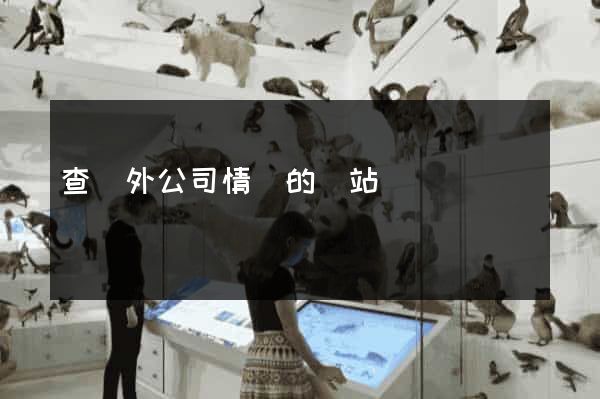 查國外公司情況的網站