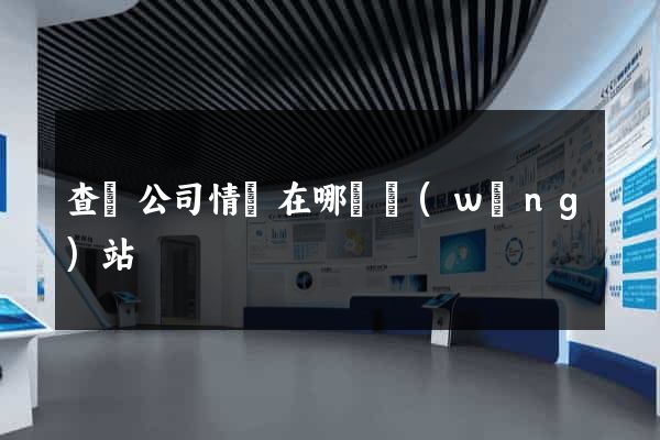 查詢公司情況在哪個網(wǎng)站