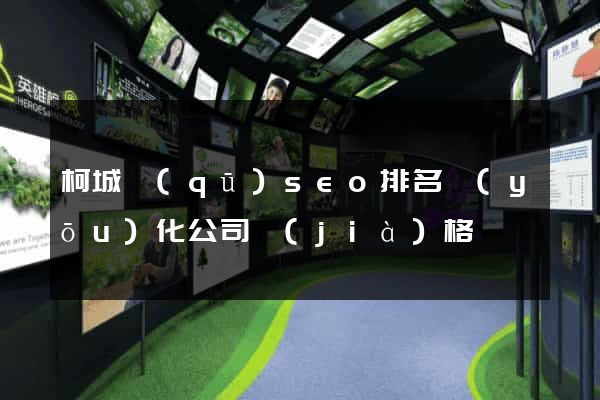柯城區(qū)seo排名優(yōu)化公司價(jià)格
