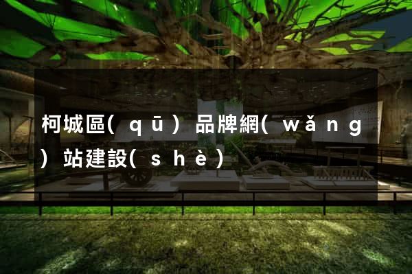 柯城區(qū)品牌網(wǎng)站建設(shè)