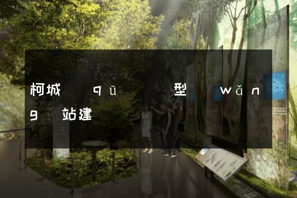 柯城區(qū)營銷型網(wǎng)站建設