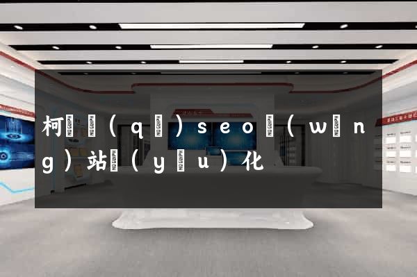 柯橋區(qū)seo網(wǎng)站優(yōu)化