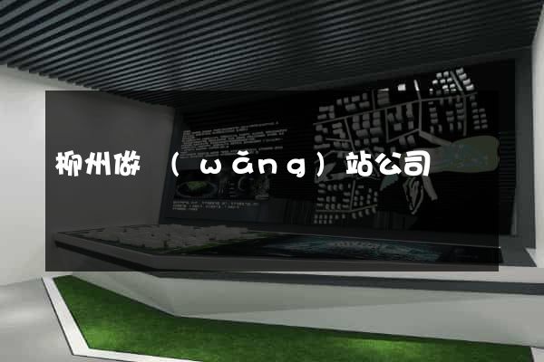 柳州做網(wǎng)站公司