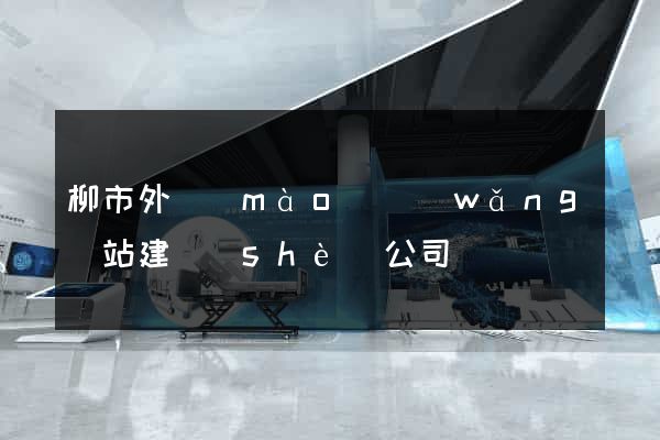 柳市外貿(mào)網(wǎng)站建設(shè)公司