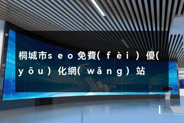 桐城市seo免費(fèi)優(yōu)化網(wǎng)站