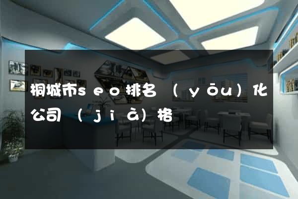 桐城市seo排名優(yōu)化公司價(jià)格
