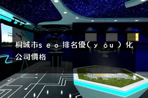桐城市seo排名優(yōu)化公司價格