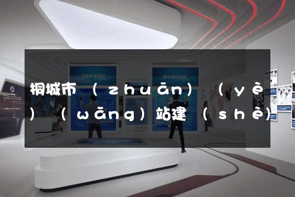 桐城市專(zhuān)業(yè)網(wǎng)站建設(shè)