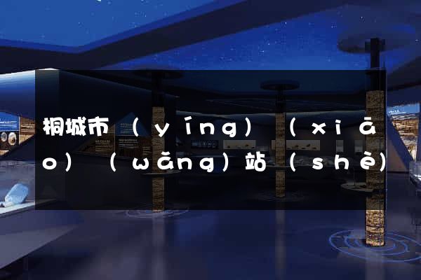 桐城市營(yíng)銷(xiāo)網(wǎng)站設(shè)計(jì)