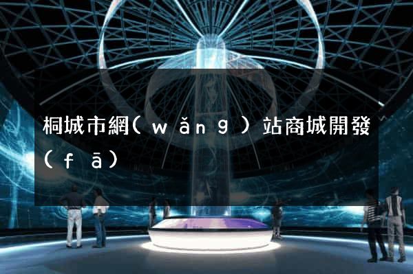 桐城市網(wǎng)站商城開發(fā)