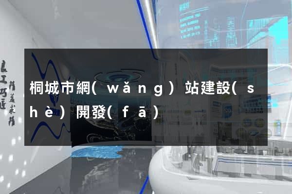 桐城市網(wǎng)站建設(shè)開發(fā)