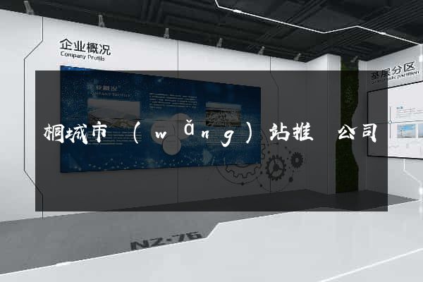桐城市網(wǎng)站推廣公司