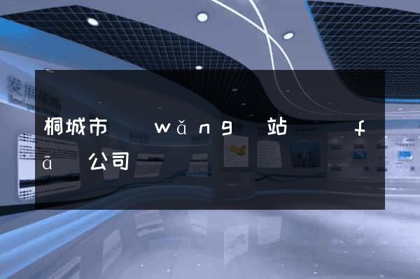 桐城市網(wǎng)站開發(fā)公司