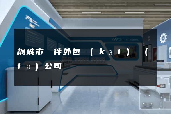 桐城市軟件外包開(kāi)發(fā)公司