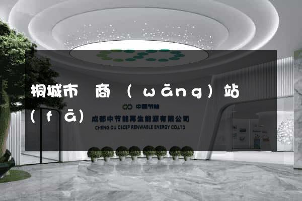 桐城市電商網(wǎng)站開發(fā)