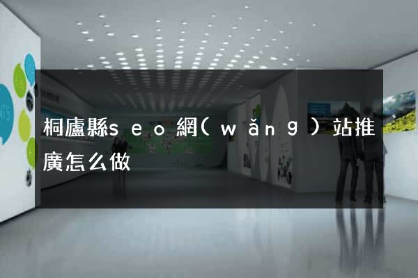 桐廬縣seo網(wǎng)站推廣怎么做