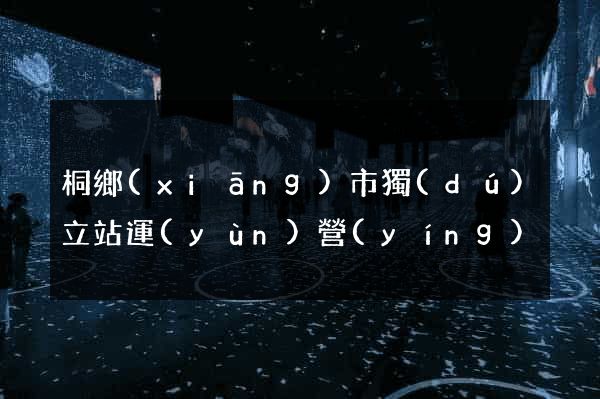桐鄉(xiāng)市獨(dú)立站運(yùn)營(yíng)