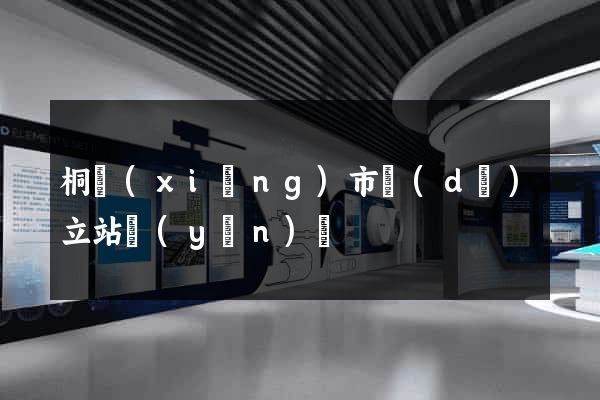 桐鄉(xiāng)市獨(dú)立站運(yùn)營