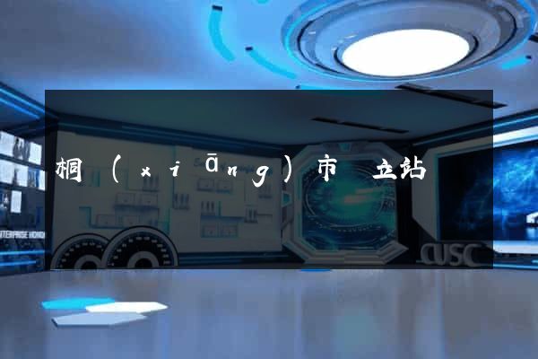 桐鄉(xiāng)市獨立站運營