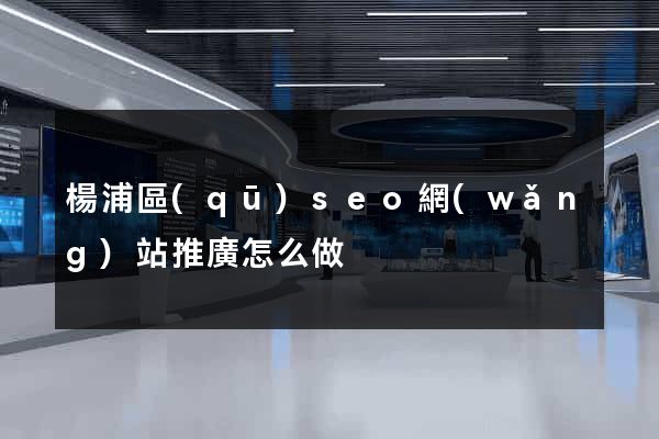 楊浦區(qū)seo網(wǎng)站推廣怎么做