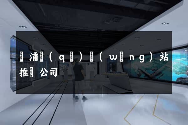 楊浦區(qū)網(wǎng)站推廣公司
