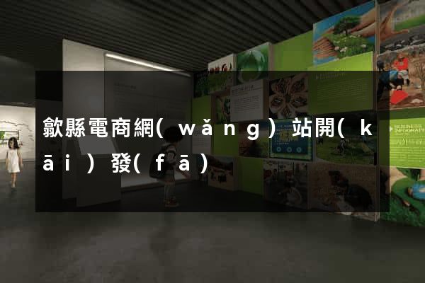 歙縣電商網(wǎng)站開(kāi)發(fā)