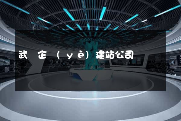武漢企業(yè)建站公司