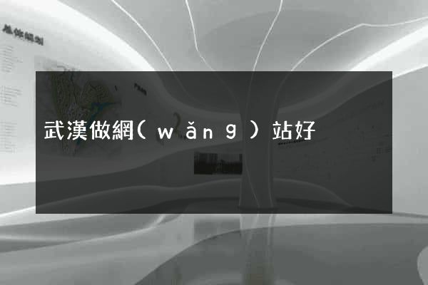 武漢做網(wǎng)站好