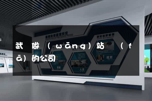 武漢做網(wǎng)站開發(fā)的公司