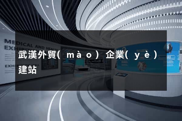 武漢外貿(mào)企業(yè)建站