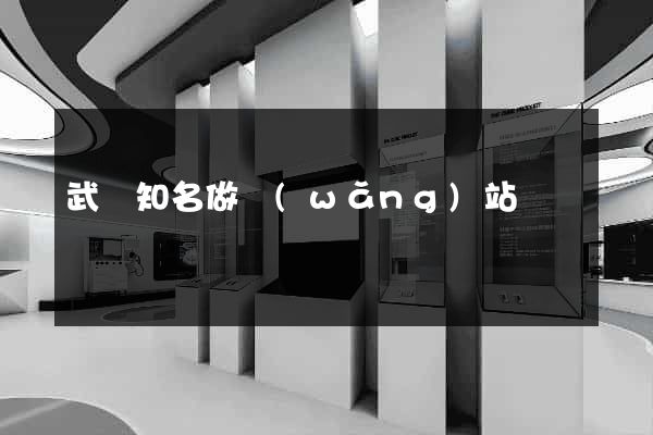 武漢知名做網(wǎng)站