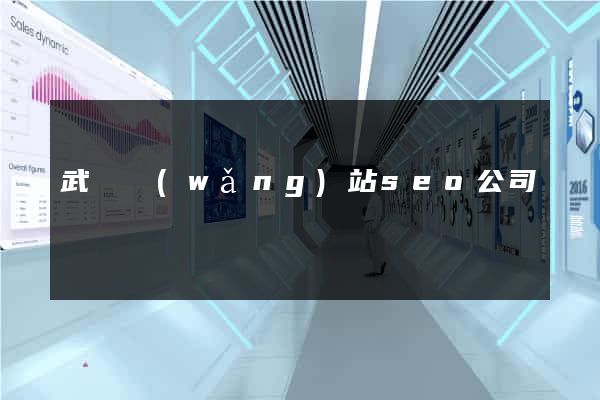 武漢網(wǎng)站seo公司