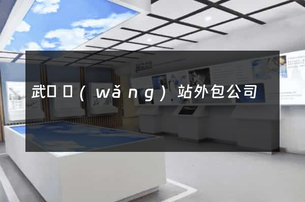 武漢網(wǎng)站外包公司