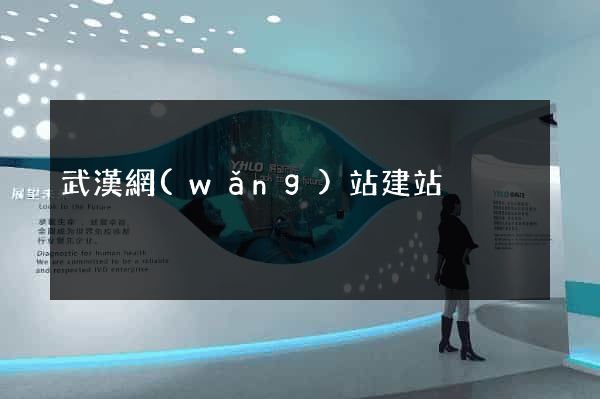 武漢網(wǎng)站建站