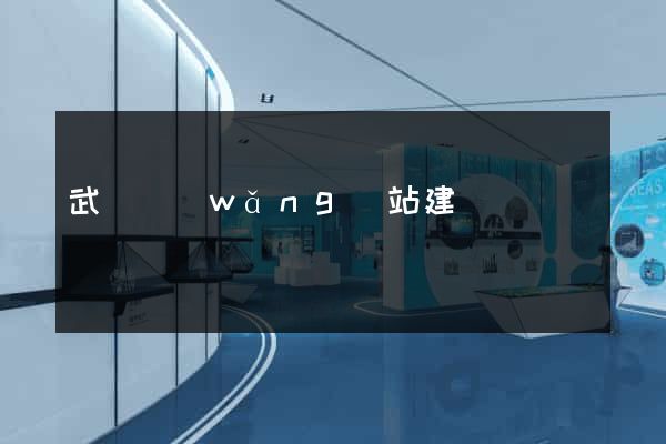 武漢網(wǎng)站建設機構