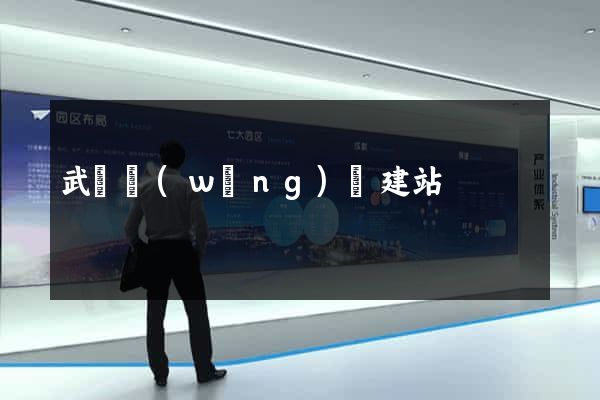 武漢網(wǎng)絡建站