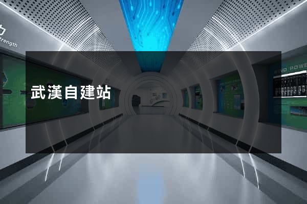 武漢自建站