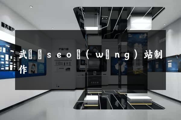 武義縣seo網(wǎng)站制作
