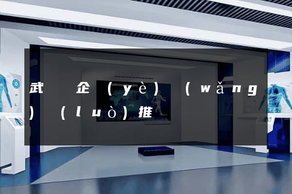 武義縣企業(yè)網(wǎng)絡(luò)推廣