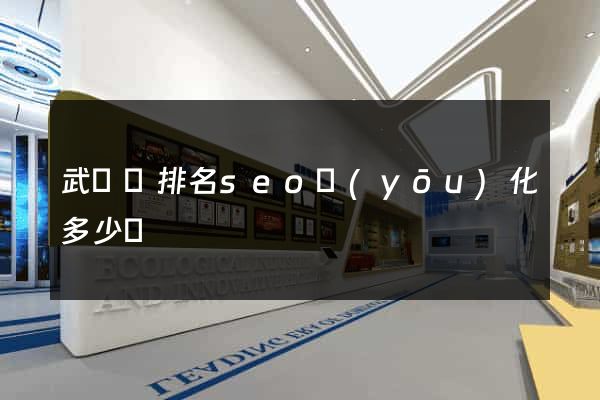 武義縣排名seo優(yōu)化多少錢