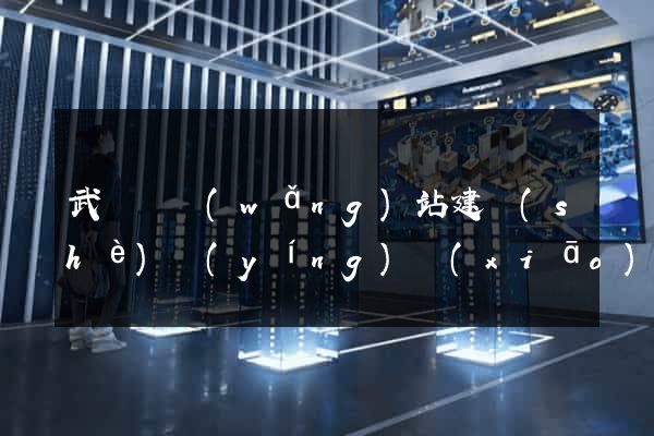 武義縣網(wǎng)站建設(shè)營(yíng)銷(xiāo)型