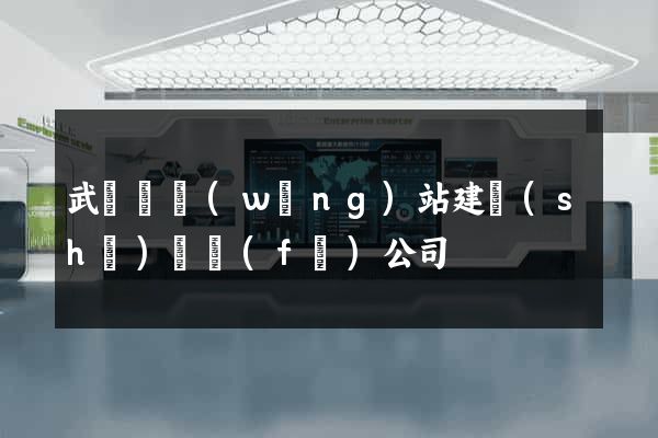 武義縣網(wǎng)站建設(shè)開發(fā)公司