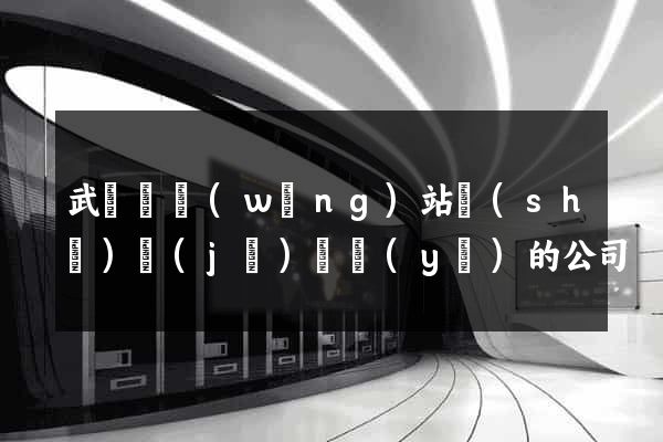 武義縣網(wǎng)站設(shè)計(jì)專業(yè)的公司