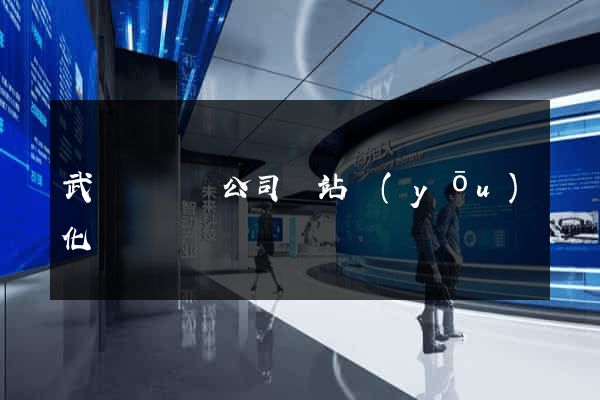 武義縣設計公司網站優(yōu)化